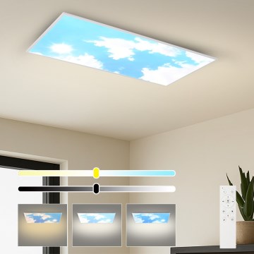 Brilagi - LED димируемо таванно осветително тяло SLIMFRAME SKY LED/80W/230V 120x60 cm 3000-6000K сребристо/синьо + дистанционно управление
