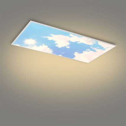Brilagi - LED таванно осветително тяло с регулируема яркост SLIMFRAME SKY LED/80W/230V 120x60 cm 3000-6000K сребрист/син + дистанционно управление