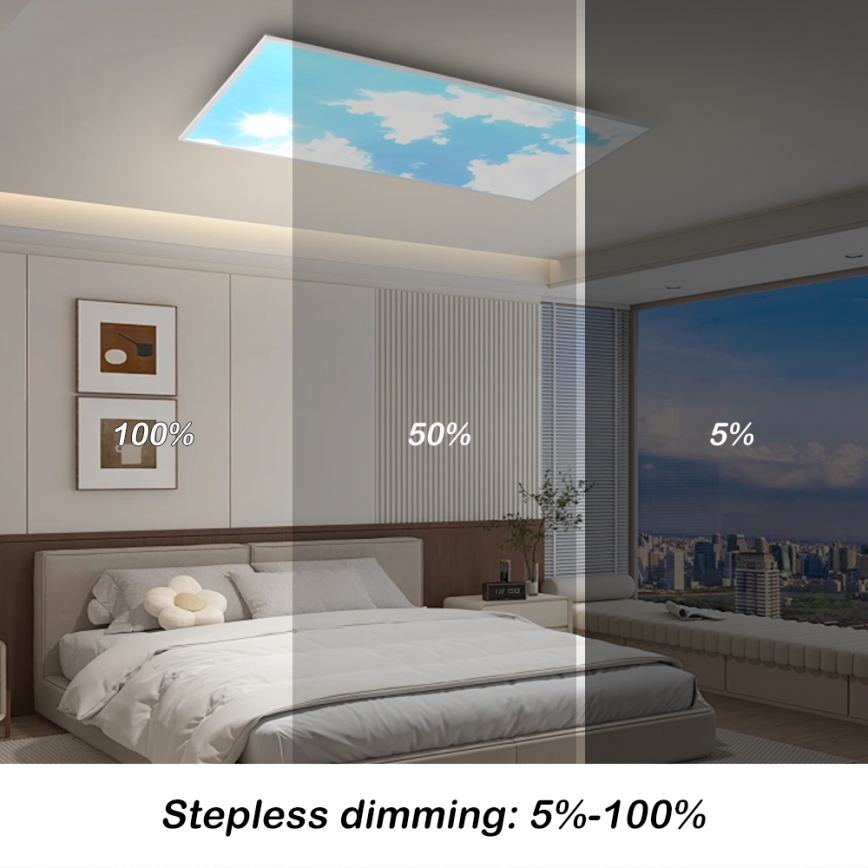 Brilagi - LED таванно осветително тяло с регулируема яркост SLIMFRAME SKY LED/80W/230V 120x60 cm 3000-6000K сребрист/син + дистанционно управление
