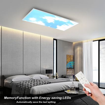 Brilagi - LED таванно осветително тяло с регулируема яркост SLIMFRAME SKY LED/80W/230V 120x60 cm 3000-6000K сребрист/син + дистанционно управление