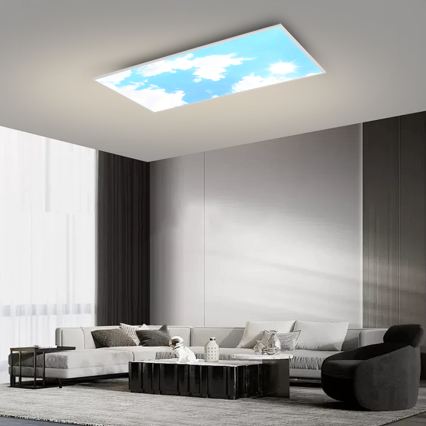 Brilagi - LED таванно осветително тяло с регулируема яркост SLIMFRAME SKY LED/80W/230V 120x60 cm 3000-6000K сребрист/син + дистанционно управление