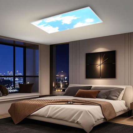 Brilagi - LED таванно осветително тяло с регулируема яркост SLIMFRAME SKY LED/80W/230V 120x60 cm 3000-6000K сребрист/син + дистанционно управление
