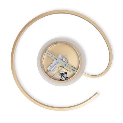 Brilagi - LED димируемо таванно осветително тяло SPIRAL LED/56W/230V Ø 50 см 3000/4000/6000K + дистанционно управление