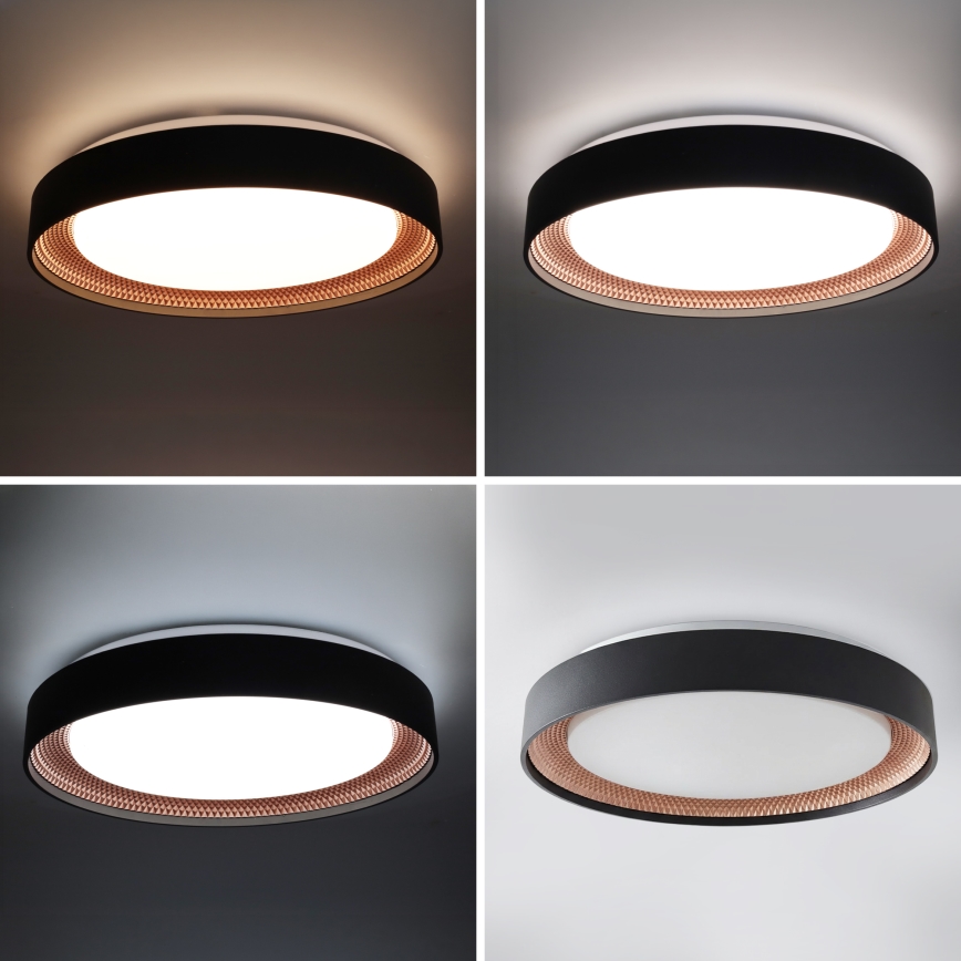 Brilagi - Димируемо LED таванно осветително тяло WALDO LED/48W/230V 3000-6500K диаметър 40 cm черно/златно + дистанционно управление
