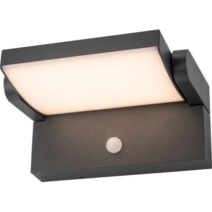 Brilagi - LED Екстериорен аплик със сензор ANKLE LED/12,5W/230V IP54