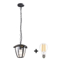 BRILAGI -  LED Екстериорен висящ полилей LUNA 1xE27/60W/230V IP44