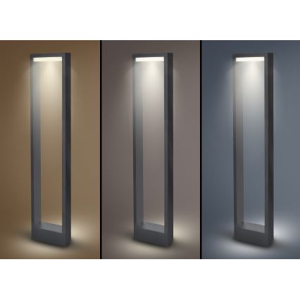 Brilagi - LED Екстериорна лампа RAGUSA LED/7W/230V 3000/4000/6000K антрацит IP54 80 cm
