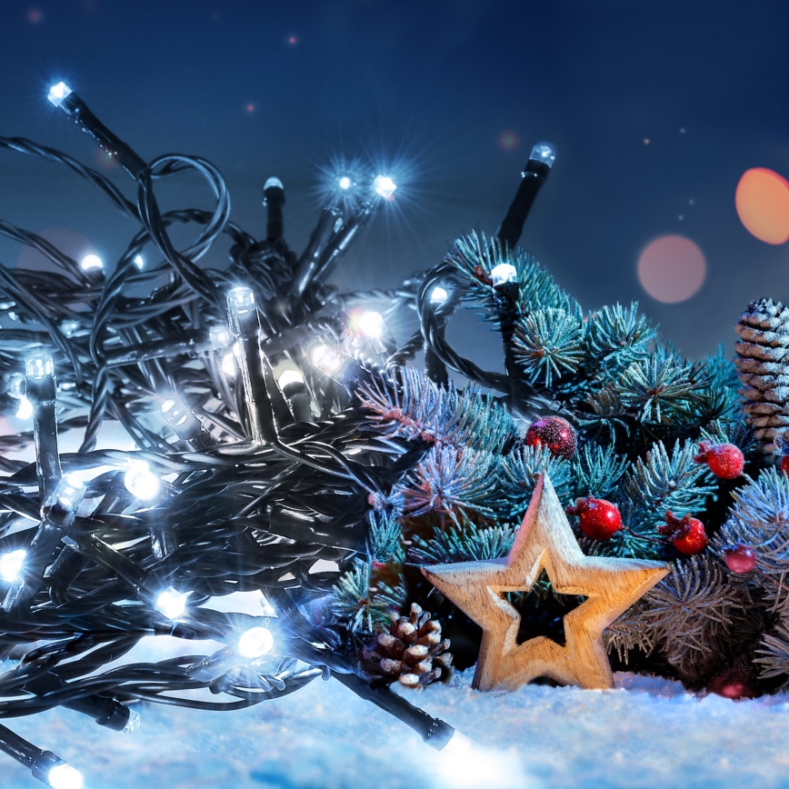 Brilagi - LED Екстериорни декоративни лампички 200xLED/8 функции 23м IP44 студено бели