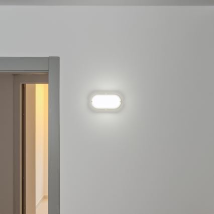 Brilagi - LED Индустриална лампа SIMA LED/12W/230V IP65 бяла