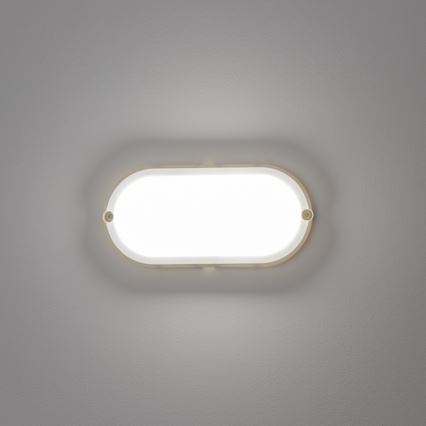 Brilagi - LED Индустриална лампа SIMA LED/12W/230V IP65 бяла