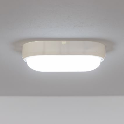 Brilagi - LED Индустриална лампа SIMA LED/12W/230V IP65 бяла