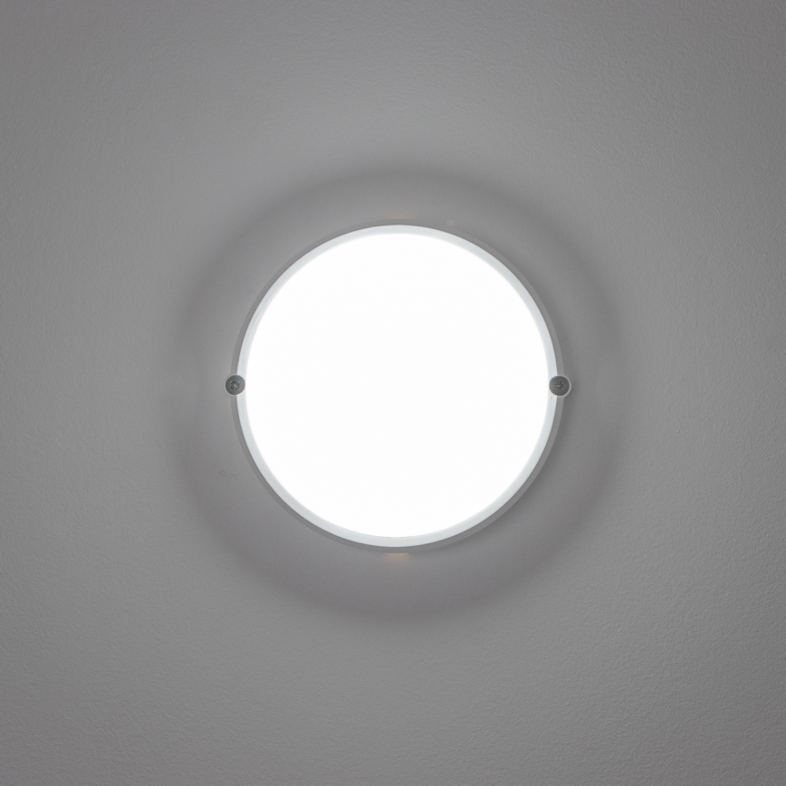 Brilagi - LED Индустриално осветление за таван SIMA LED/12W/230V IP65 бяла