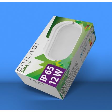 Brilagi - LED Индустриално осветление за таван SIMA LED/12W/230V IP65 черна