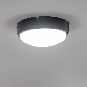 Brilagi - LED Индустриално осветление за таван SIMA LED/12W/230V IP65 черна