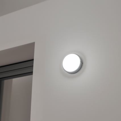 Brilagi - LED Индустриално осветление за таван SIMA LED/12W/230V IP65 черна