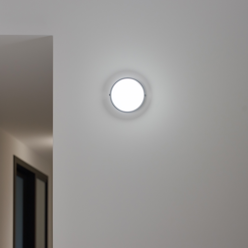 Brilagi - LED Индустриално осветление за таван SIMA LED/12W/230V IP65 черна