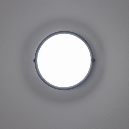 Brilagi - LED Индустриално осветление за таван SIMA LED/12W/230V IP65 черна