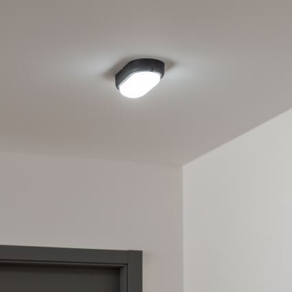 Brilagi - LED Индустриално осветление за таван SIMA LED/12W/230V IP65 черна