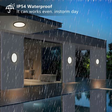 Brilagi - LED Плафон за баня ULTRA SLIM LED/12W/230V Ø 22,5 см черен IP54