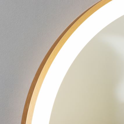 Brilagi - LED огледало за баня ERBA LED/25W/230V 50x80 cm златисто IP44 CRI 90 димируемо + CCT