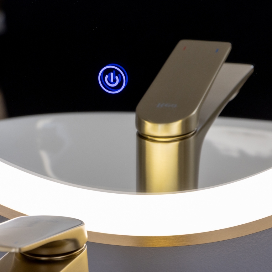 Brilagi - LED огледало за баня ERBA LED/25W/230V 50x80 cm златисто IP44 CRI 90 димируемо + CCT