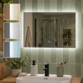 BRILAGI - LED Огледало за баня LUCE LED/20W/230V 40x60 cm IP44 CRI 90 димируемо + CCT