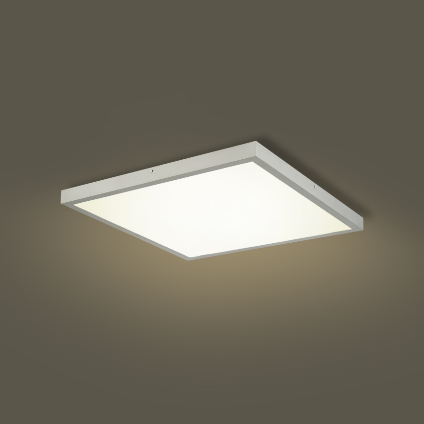 Brilagi - LED таванно осветително тяло за баня FRAME LED/50W/230V 3000/4000/6000K 60x60 cm IP44 сребристо