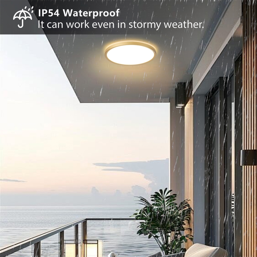 Brilagi - LED таванно осветително тяло за баня ULTRA SLIM, LED/24W/230V, Ø 42 cm, златисто, IP54