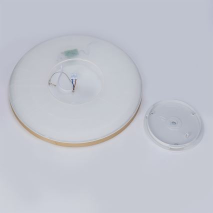 Brilagi - LED таванно осветително тяло за баня ULTRA SLIM, LED/24W/230V, Ø 42 cm, златисто, IP54