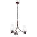 Brilagi - LED Пендел COTTAGE 3xE14/40W/230V дъб/бял