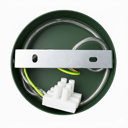 Brilagi - LED Пендел FLAMENGO 1xE27/60W/230V зелен