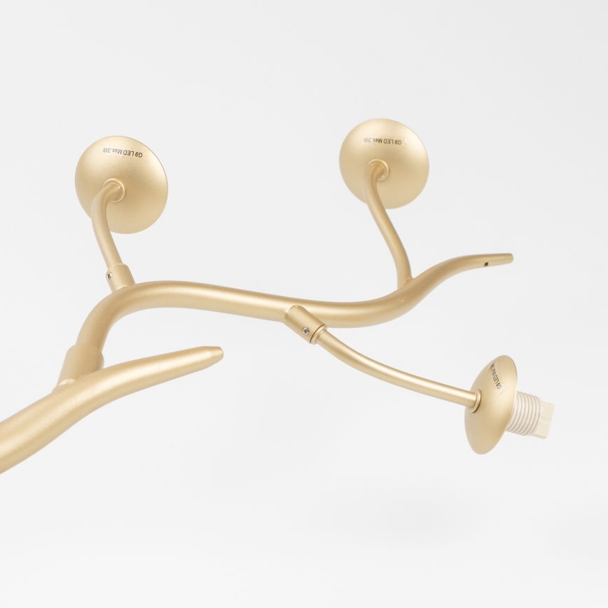 Brilagi - LED Пендел MISTEL 6xG9/3W/230V златист/бял