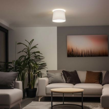 Brilagi - LED плафон CERIA 1xE27/40W/230V Ø 30 см бял