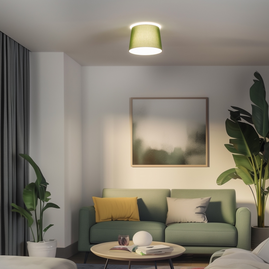 Brilagi - LED плафон CERIA 1xE27/40W/230V Ø 30 см зелен