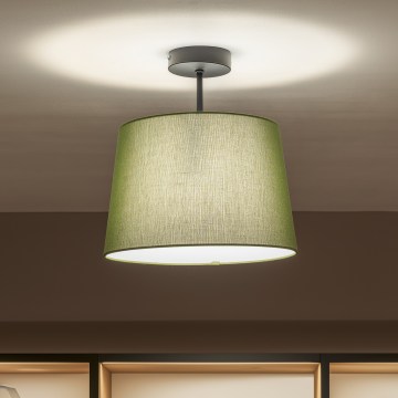 Brilagi - LED плафон CERIA 1xE27/60W/230V Ø 30 см черен/зелен