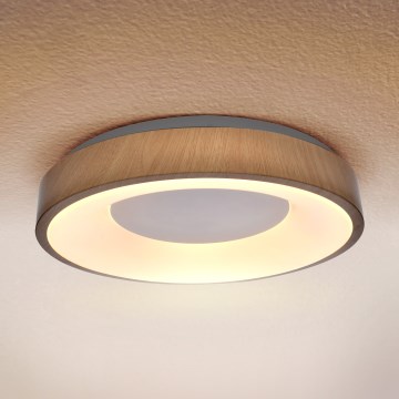 Brilagi - LED плафон DORIA LED/24W/230V Ø 28,5 см