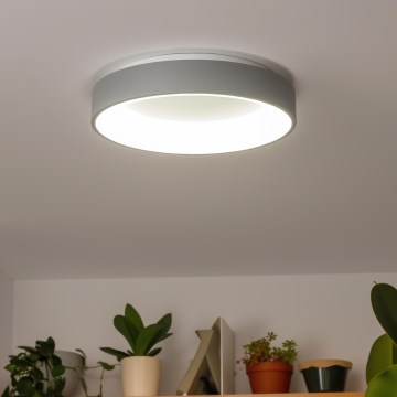 Brilagi - LED плафон FALCON, димируем, LED/80W/230V 3000-6500K Ø 60 cm, сив + дистанционно управление