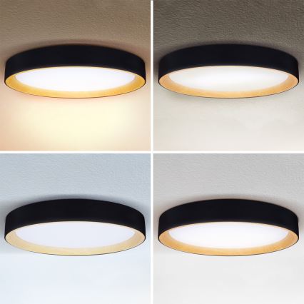 Brilagi - LED димируемо таванно осветително тяло LARIOS LED/72W/230V 3000-6500K черно диаметър 59 см + дистанционно управление