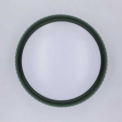 Brilagi - LED плафон LUCIA LED/24W/230V, Ø 31 см, зелен