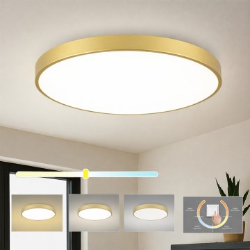 Brilagi - LED плафон POOL LED/100W/230V 3000/4000/6000K Ø 80 см златист
