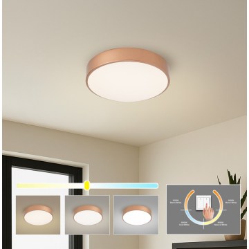 Brilagi - LED плафон POOL LED/36W/230V 3000/4000/6000K Ø 30 см бронзов