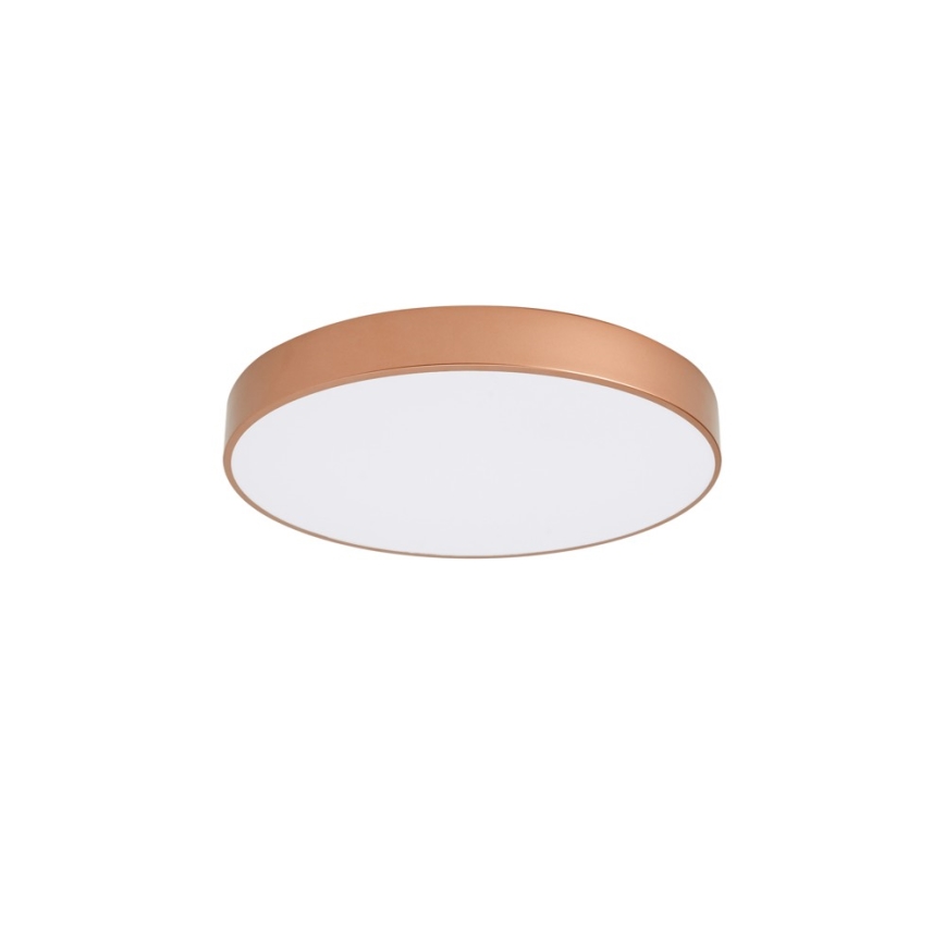 BRILAGI - LED плафон POOL LED/60W/230V 3000/4000/6000K Ø 50 см меден