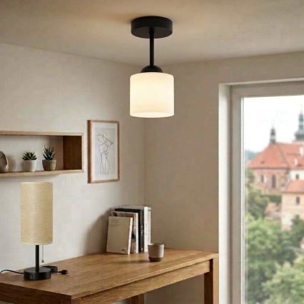 BRILAGI - LED плафон RETRO GLASS 1xE27/60W/230V Ø 10 cm черен/бял