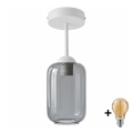 BRILAGI - LED плафон RETRO GLASS 1xE27/60W/230V Ø 14 см бял/димчато сив