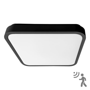 BRILAGI - LED плафон за баня с сензор ZENNA LED/36W/230V 41,5x41,5 cm IP44 черен + дистанционно управление