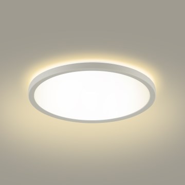 Brilagi - LED Плафон за баня ULTRA SLIM LED/24W/230V 42x42 см бял IP54