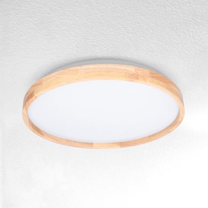 Brilagi - LED Плафониера ALSON LED/24W/230V дъб