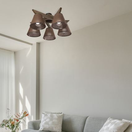 Brilagi - LED Плафониера ANTHONY 5xE14/40W/230V дъб орех/кафяво
