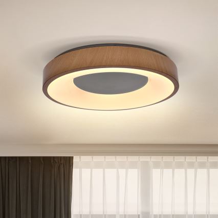 Brilagi - LED Плафониера DORIA LED/24W/230V