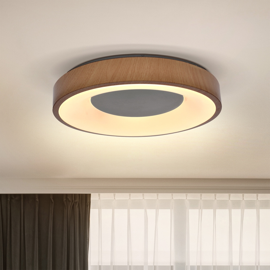 Brilagi - LED Плафониера DORIA LED/24W/230V